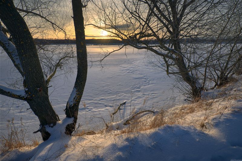 #снег #пейзаж #лес #подмосковье #дерево #закат #вечер #свет #чехов / Подмосковные вечера /photo preview