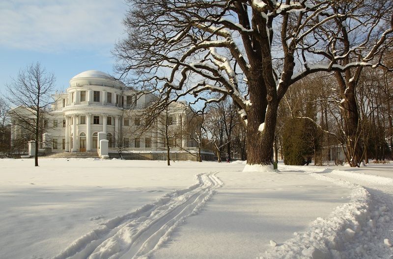 Winter walk... фото превью