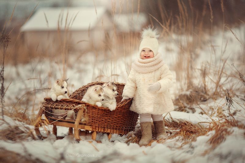 портрет, дарья громова, фотография, фото, фотоарт, фотограф, закат, детский портрет, дети, ребенок, сестры, малыш, девочка, мальчик, детская, фотосессия, фотосъемка, щенки, санки Тройкаphoto preview