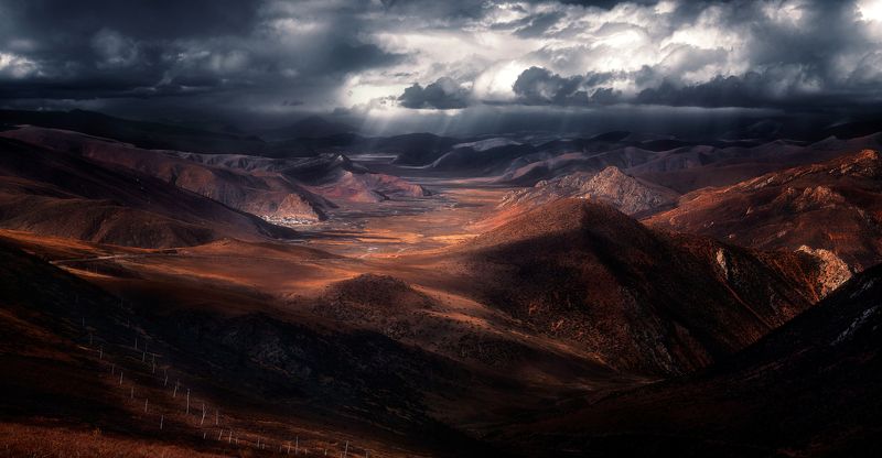 Secret gardenphoto preview