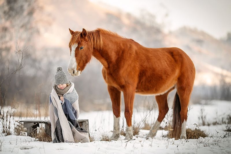 лошади, семья, природа, дети, кони, алтай, горы ****photo preview