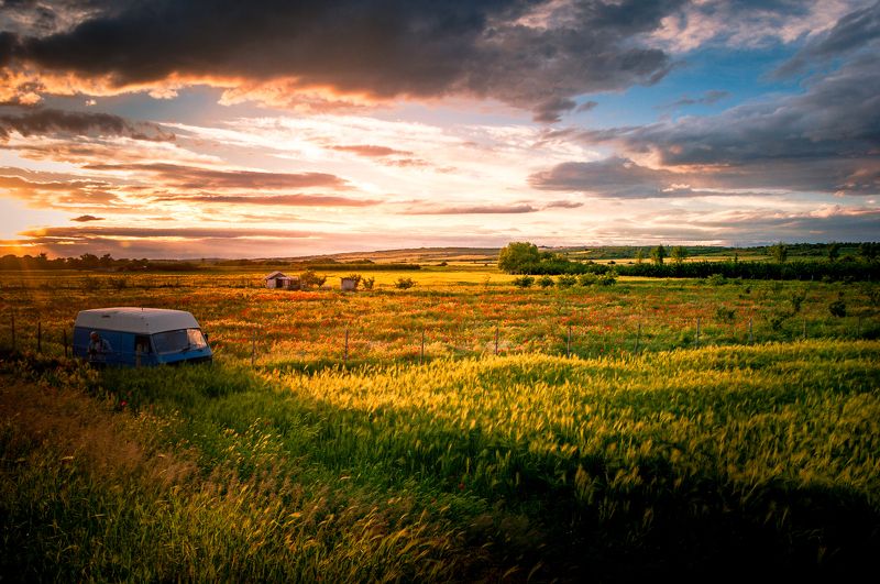 nikon d90 ...photo preview