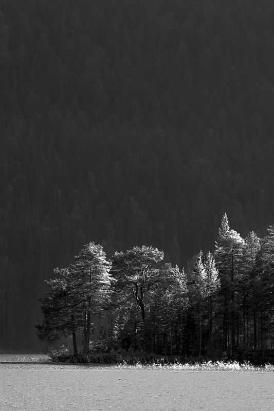 Вечерphoto preview