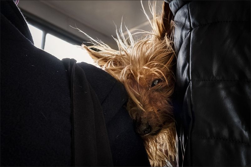 Веселое утро понедельника :)photo preview