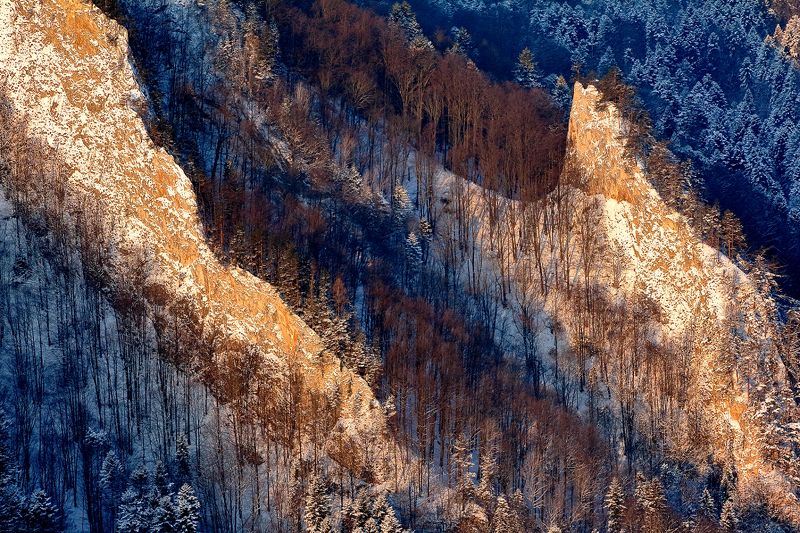 ... фото превью