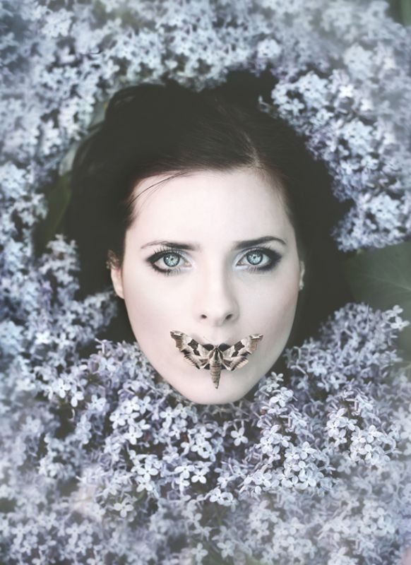 lilac, spring, portrait, conceptual, fairytales, moth ***photo preview