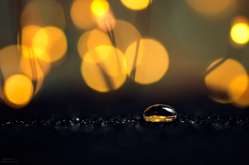 макро, капли, боке, абстракция,macro, drops, bokeh, abstraction в мире бокеphoto preview