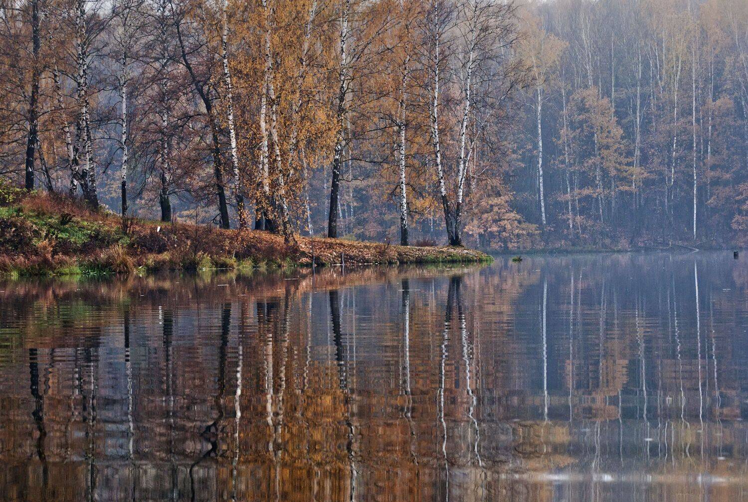 , Макеев Алексей