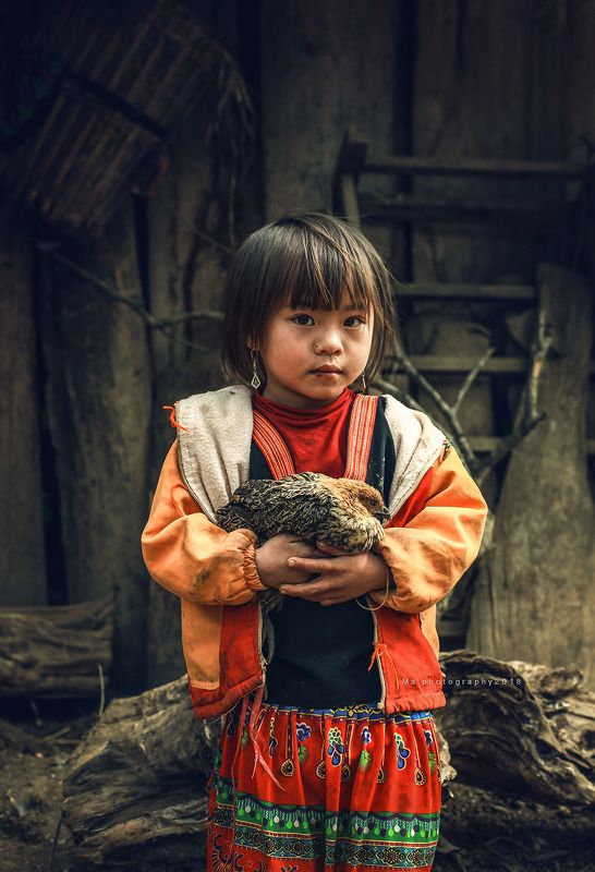 beloved petsphoto preview