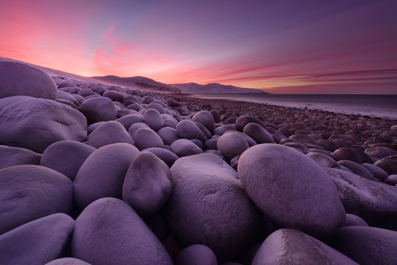 Скоро начнут вылупляться... :) фото превью