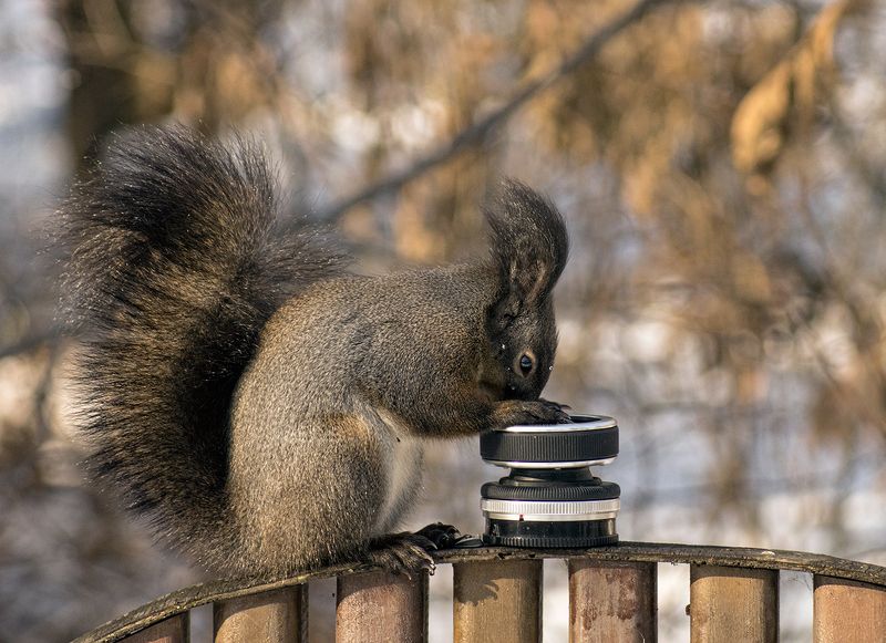 Свет мой , стёклышко-скажи !photo preview