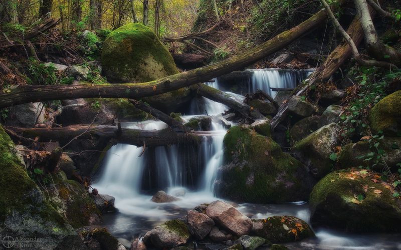 Скакуха...photo preview