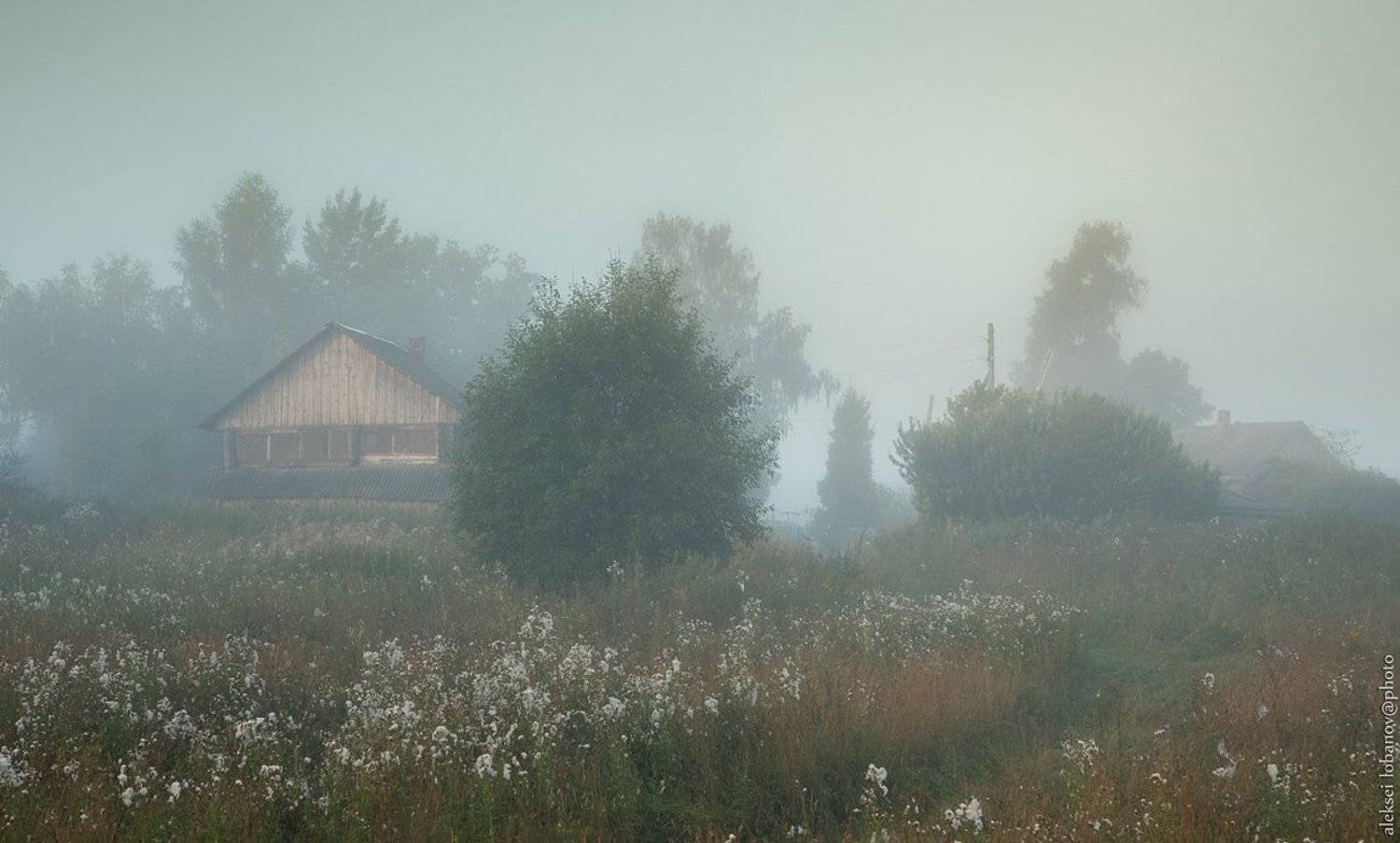 , Алексей Лобанов