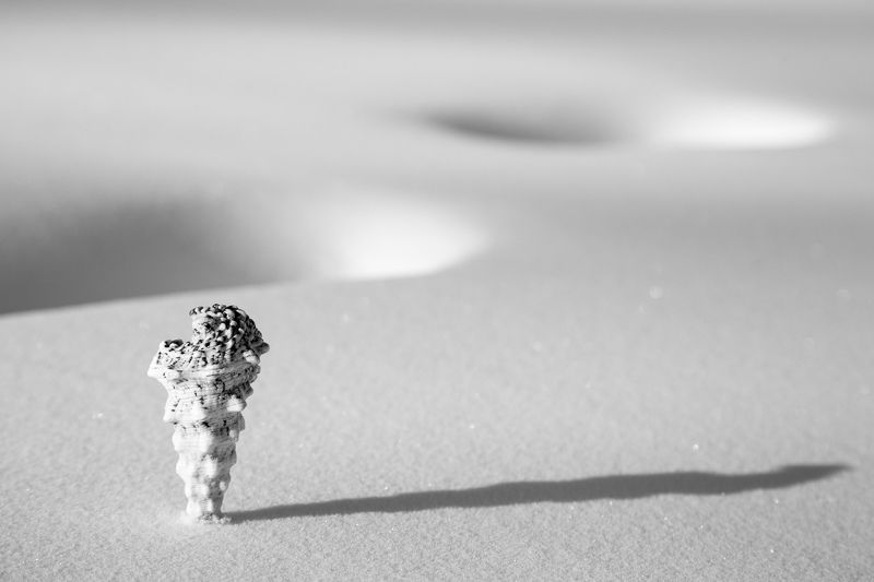 Don’t panic!photo preview