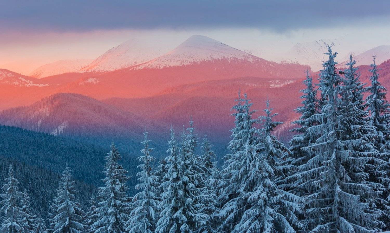 Автор: Александр Подрез , Александр Подрез