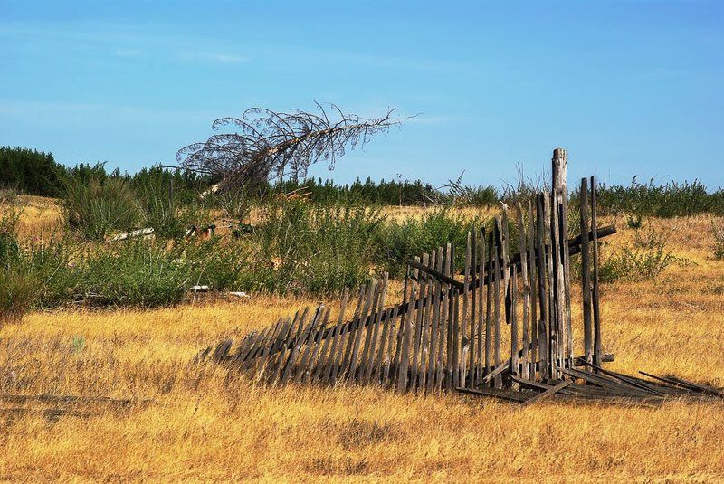 пейзаж, природа, зауралье ***photo preview