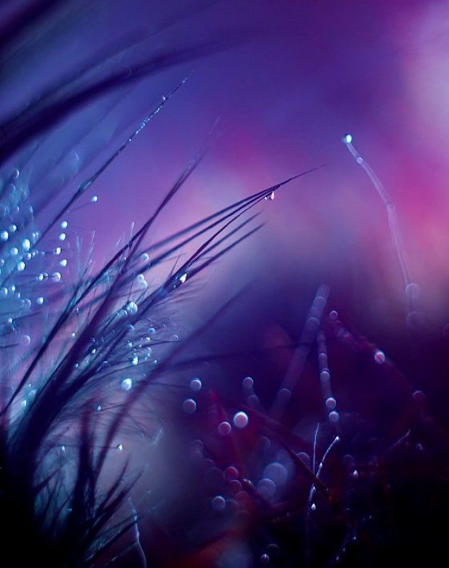 thin worldsphoto preview