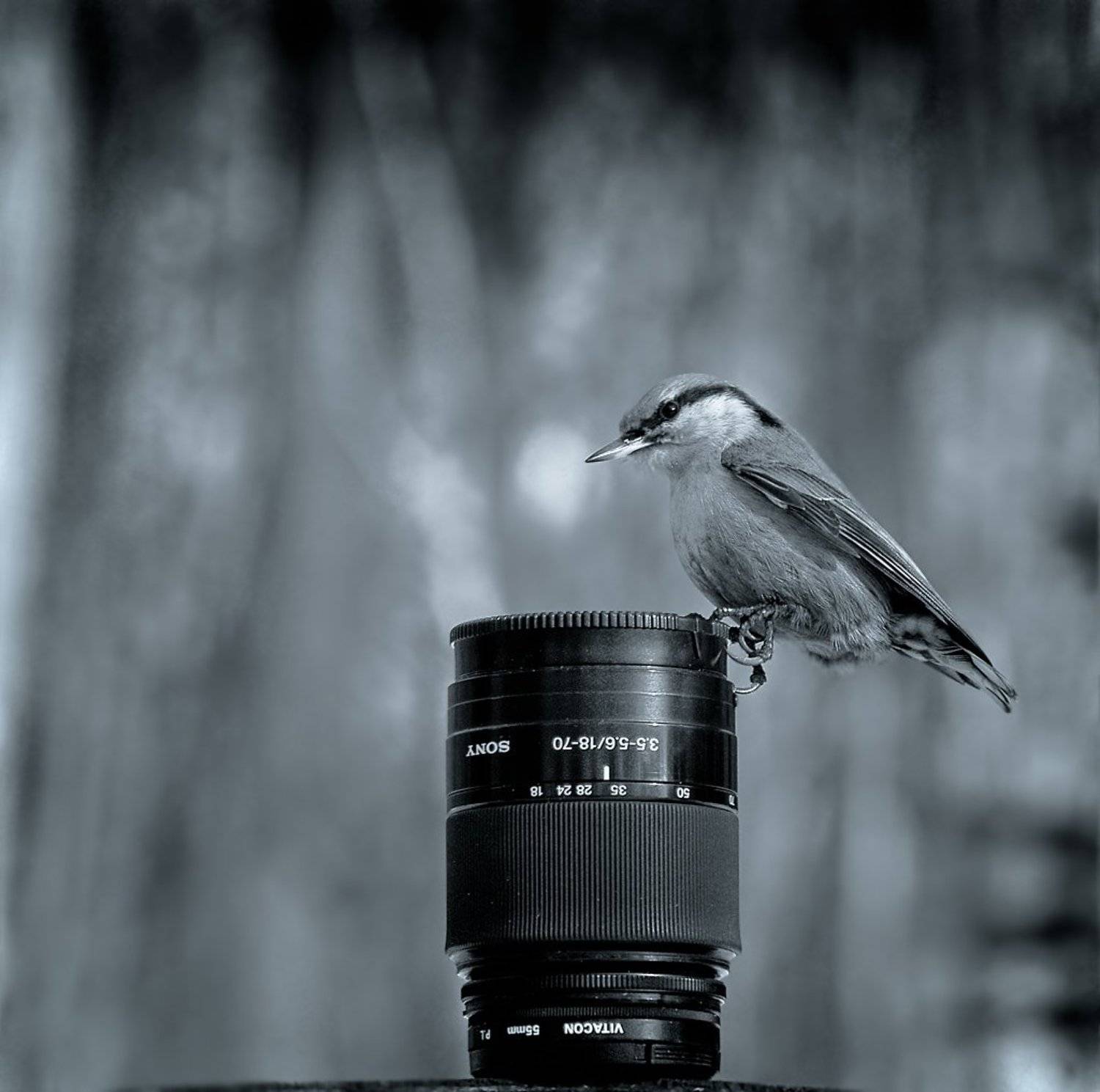 , олег сопов