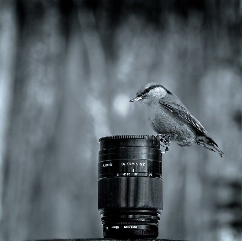 Продаётся объективphoto preview