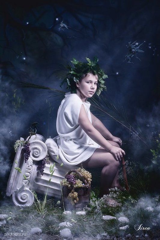 Сказки ночного лесаphoto preview