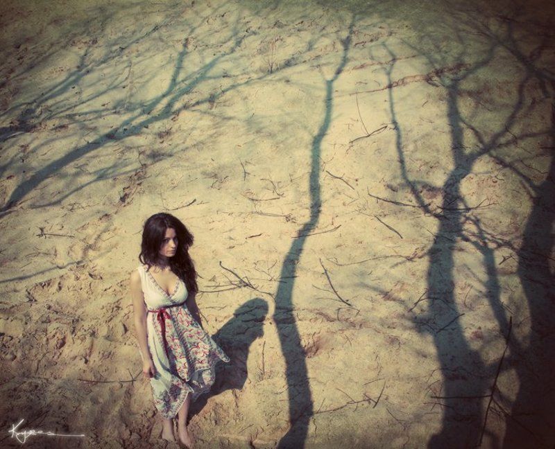 когда деревья были большие...photo preview