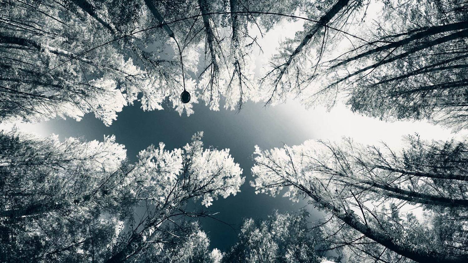 Вижу! ...осень. Автор: Bratukhin Alexander A___L___E___X , Bratukhin Alexander A___L___E___X