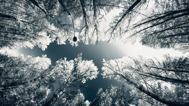 Вижу! ...осеньphoto preview