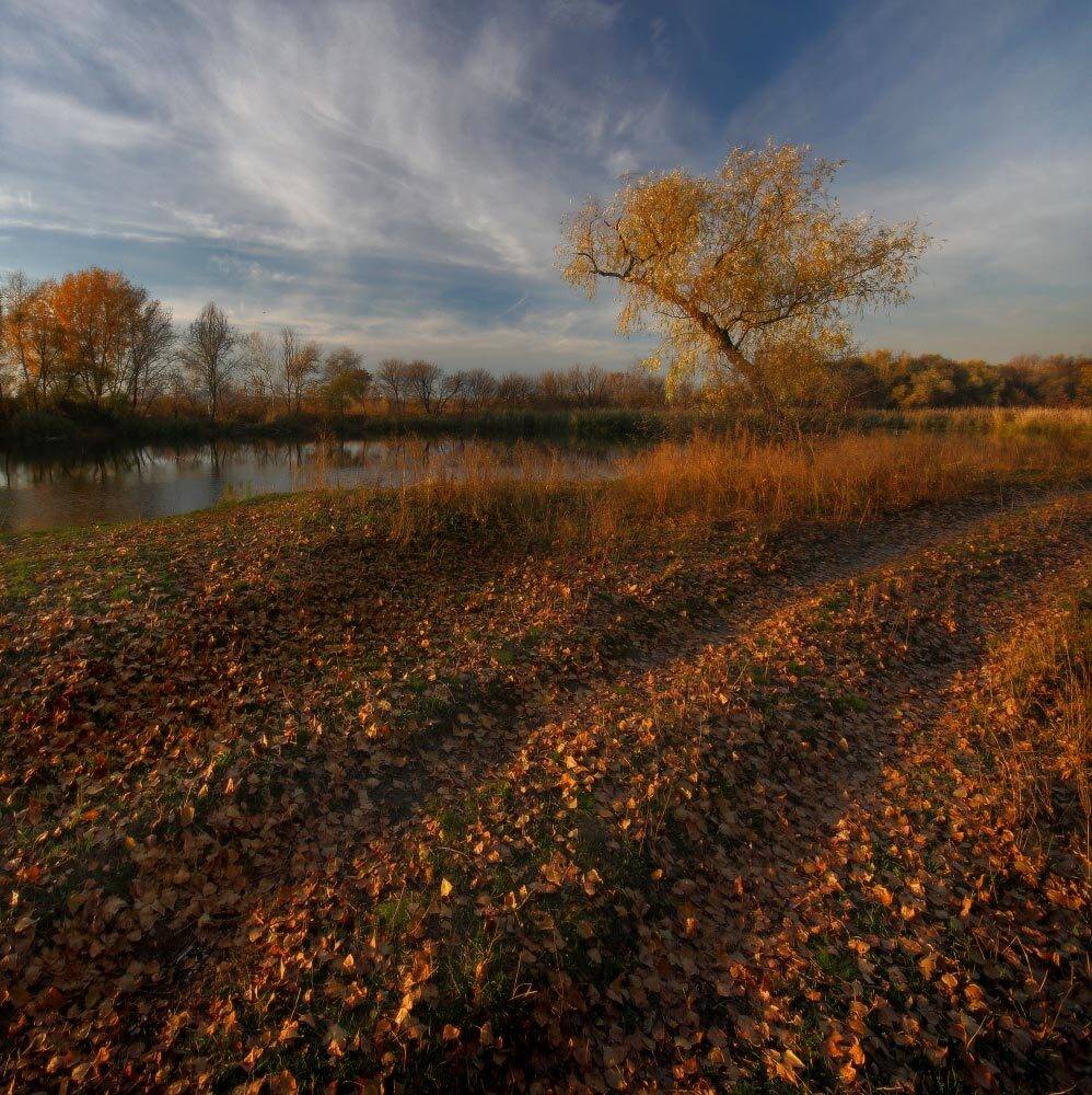 Осень ходит по дорогам лета. Автор: Петриченко Валерий дорога, листья, октябрь, осень, река, Петриченко Валерий