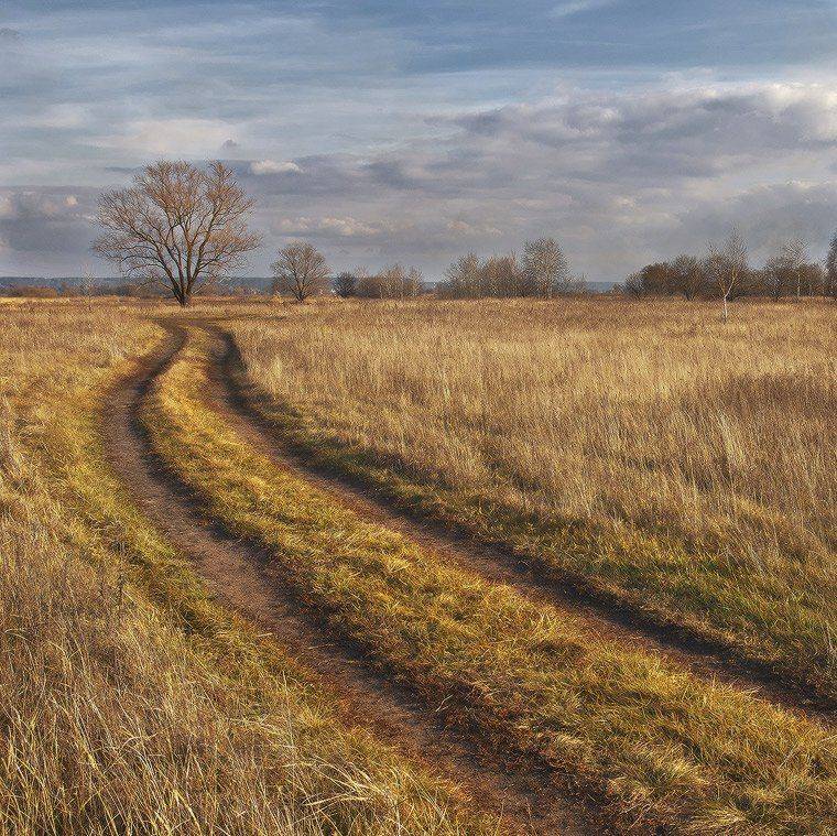 , Михаил Мочалов