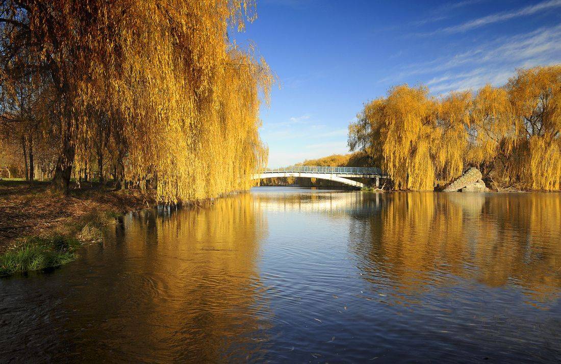 , Володимир Карчевський