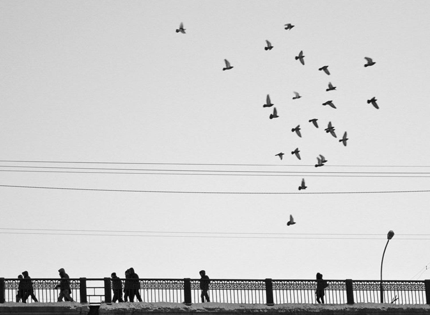 , Геннадий Спиридонов