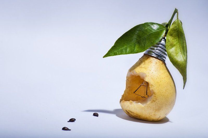 с ГМОphoto preview