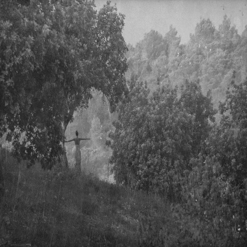 alone .photo preview