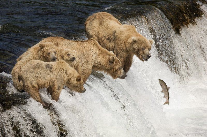 Семейная рыбалкаphoto preview