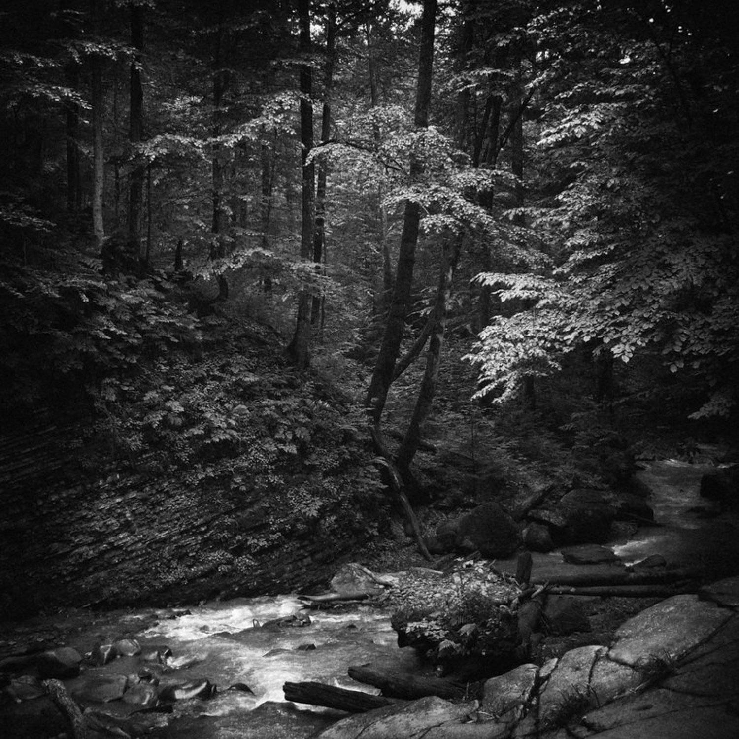 , Игорь Филипенко