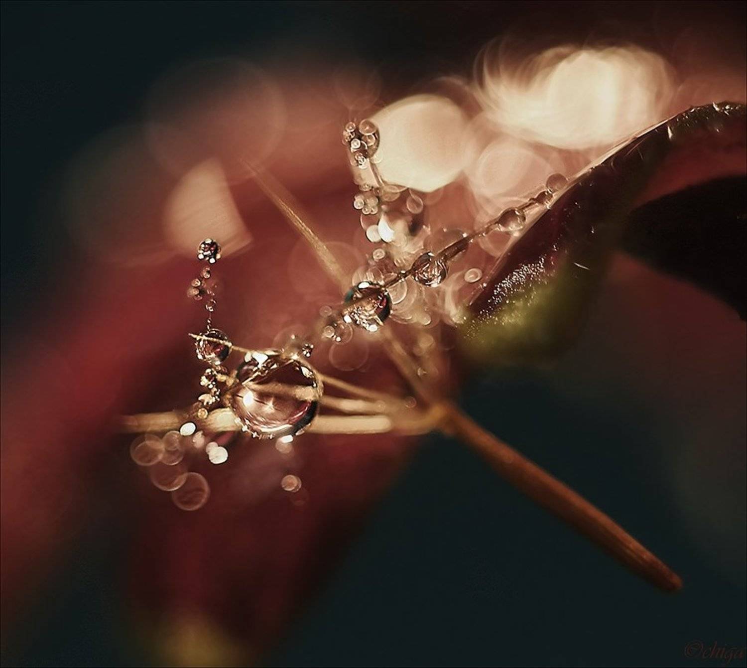 вода, капли, Chiga