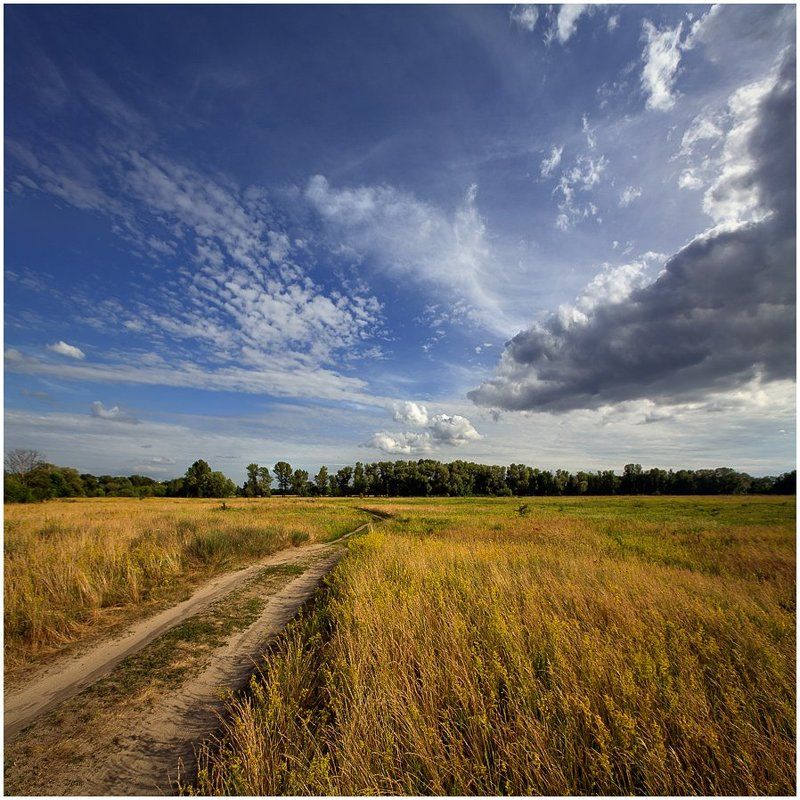 Летняя пастораль... Июнь...(цветной вариант)photo preview