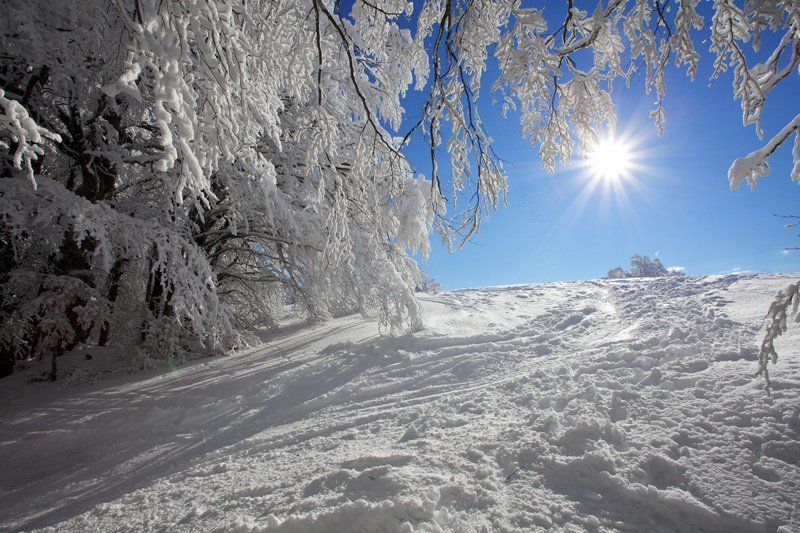 Вчерашний снегphoto preview