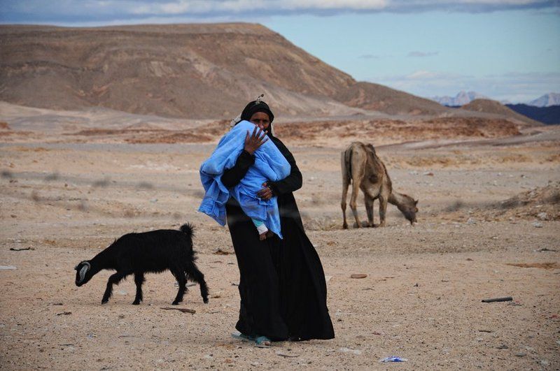 бедуины, кочевники Кочевникиphoto preview