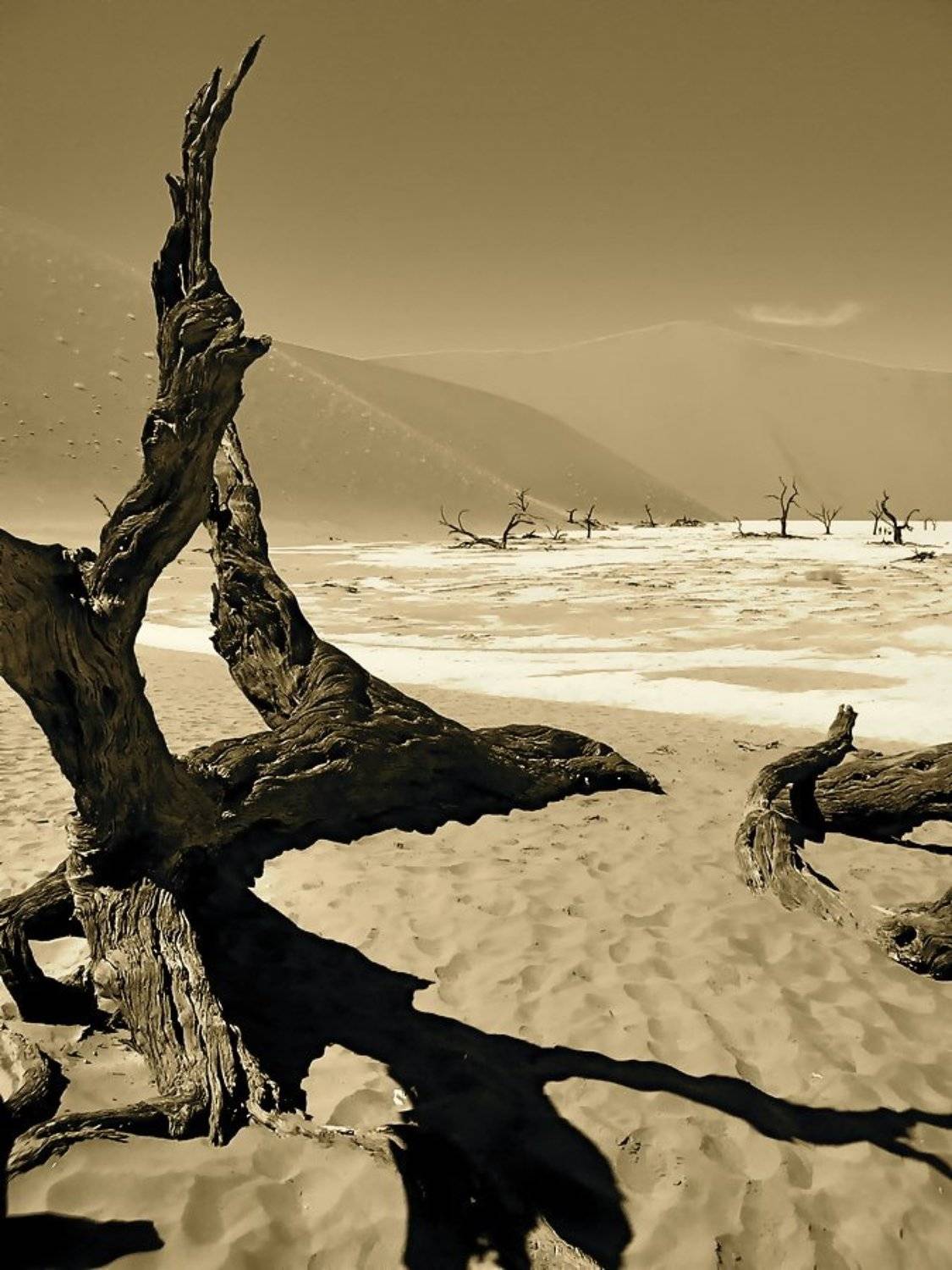 , Vasylevskyy Vitaliy