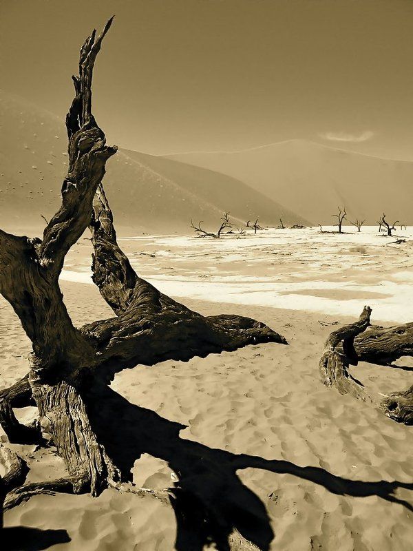 ушедшая жизнь (вариант)photo preview