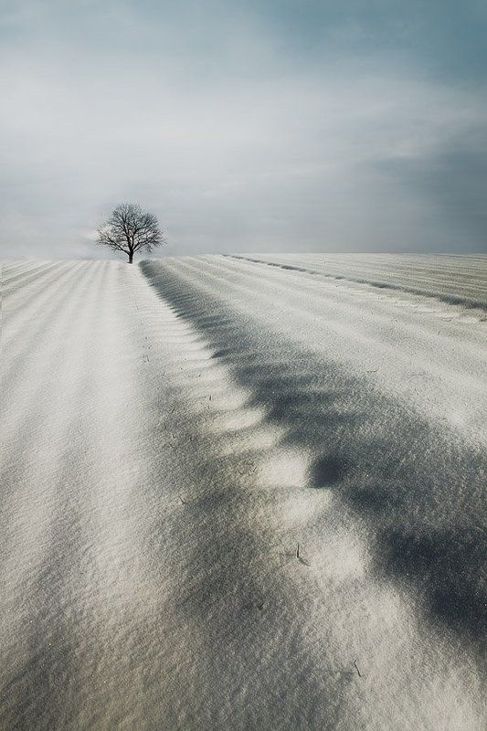 Winter in Polandphoto preview