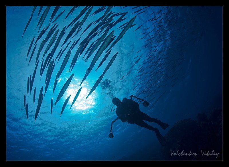 фото ***photo preview