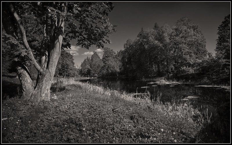 василево, лето, монохром ---photo preview