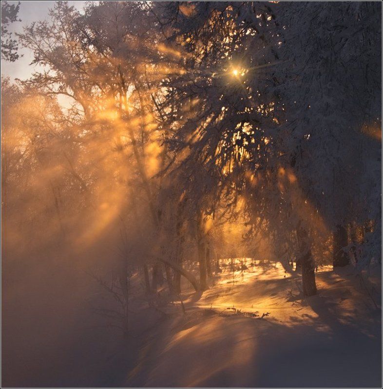 Последние лучи звездыphoto preview