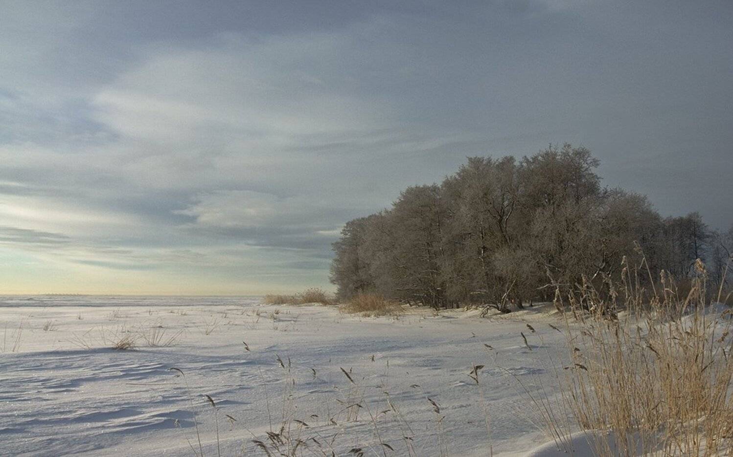 , Владимир Георгиевич