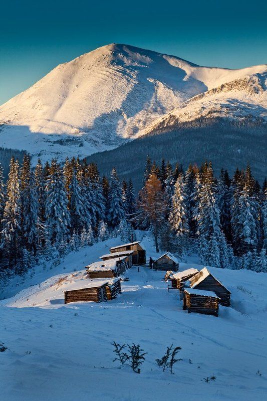 торбяк, петрос Петросphoto preview