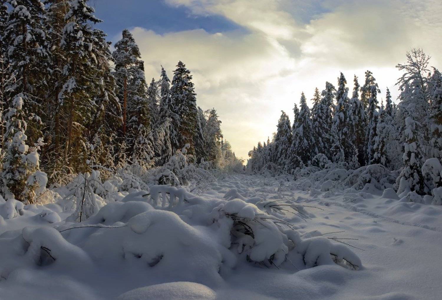 , Вячеслав Довыденко