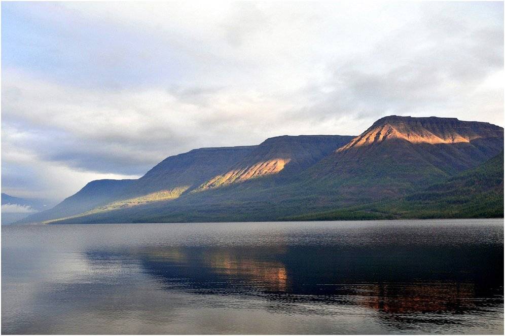 На Таймыре. Автор: Vladimir о.лама, Vladimir