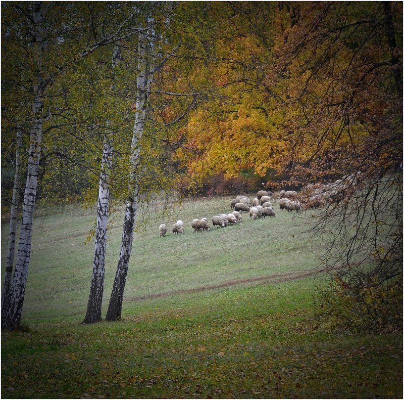 Без названияphoto preview